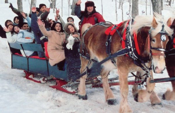 postcardsFinalforVista.indd